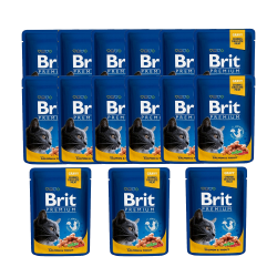 BRIT PREMIUM CAT Łosoś i Pstrąg w sosie 15x100g 15 saszetek